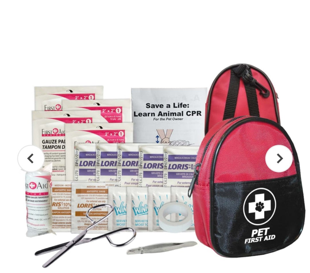 On The Go Pet First Aid Kit